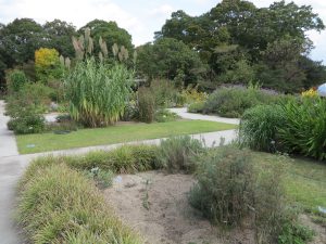 京都府立植物園23