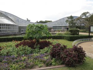 京都府立植物園21