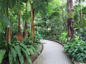 京都府立植物園20