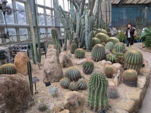 京都府立植物園19