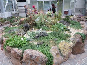 京都府立植物園14