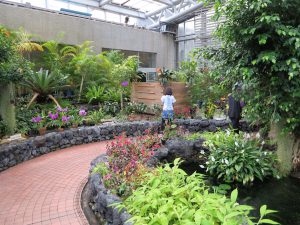 京都府立植物園111