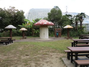 京都府立植物園10