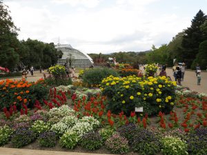 京都府立植物園9