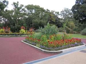 京都府立植物園8