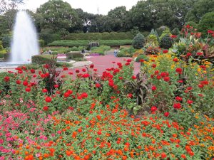 京都府立植物園67