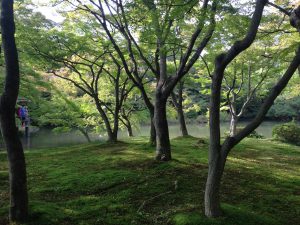 京都府立植物園3
