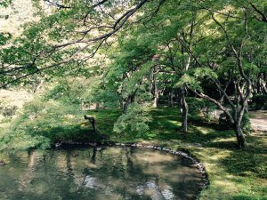 z京都府立植物園2
