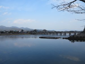 嵐山モンキーパークいわたやま1