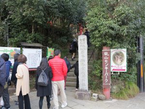 嵐山モンキーパークいわたやま2