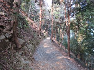 嵐山モンキーパークいわたやま6