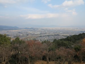 嵐山モンキーパークいわたやま10