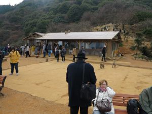 嵐山モンキーパークいわたやま11