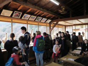 嵐山モンキーパークいわたやま14