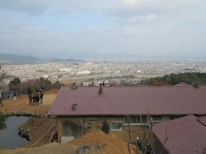 嵐山モンキーパークいわたやま20