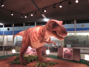 京都市青少年科学センター4