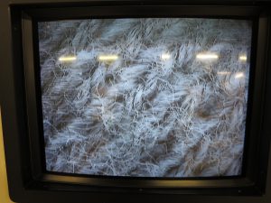 京都市青少年科学センター7