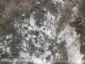 びわ湖バレイスキー場4