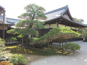 金閣寺8