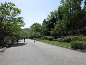 京都岩倉新緑11