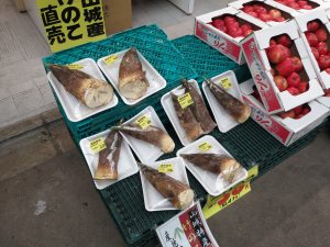 京都三条会商店街3