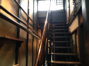 雪梅花 菜根譚34