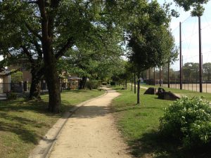 京都岩倉新緑77