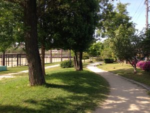 京都岩倉新緑88