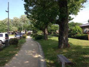 京都岩倉新緑88