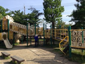 京都岩倉新緑99