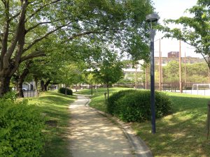 京都岩倉新緑44