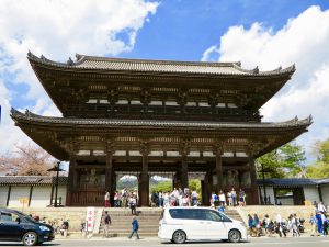 仁和寺御室桜花見9