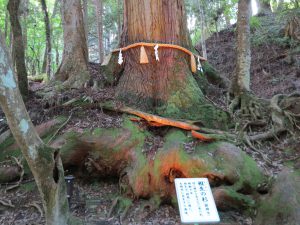 夏七夕祭り貴船神社20