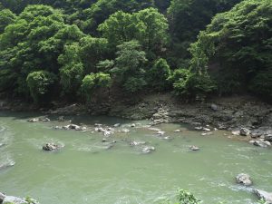 嵯峨野観光列車トロッコ列車10
