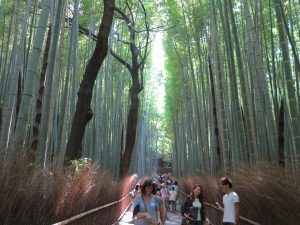 天龍寺18