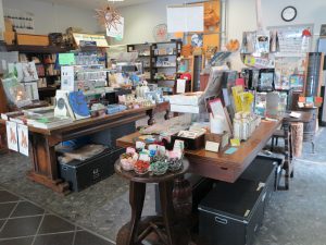 子ども博物館と京都大学博物館お土産3