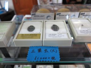 子ども博物館と京都大学博物館お土産6