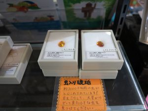 子ども博物館と京都大学博物館お土産8