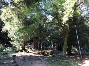 白髭神社6