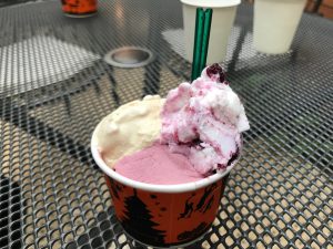 ハンデルスベーゲン 北大路店4