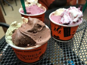 ハンデルスベーゲン 北大路店5