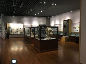 京都大学博物館2