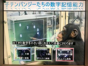 京都大学博物館5