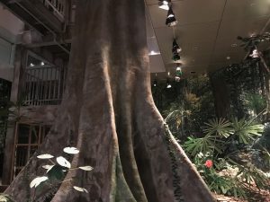 京都大学博物館7