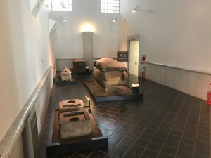 京都大学博物館11