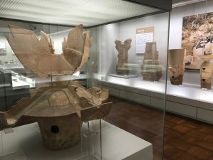 京都大学博物館12