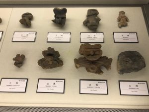 京都大学博物館13