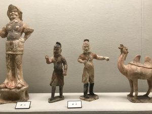 京都大学博物館18