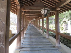 長谷寺14