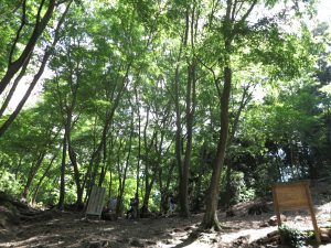 大文字山京都トレイル2